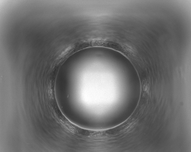 X0000061731252200512050924