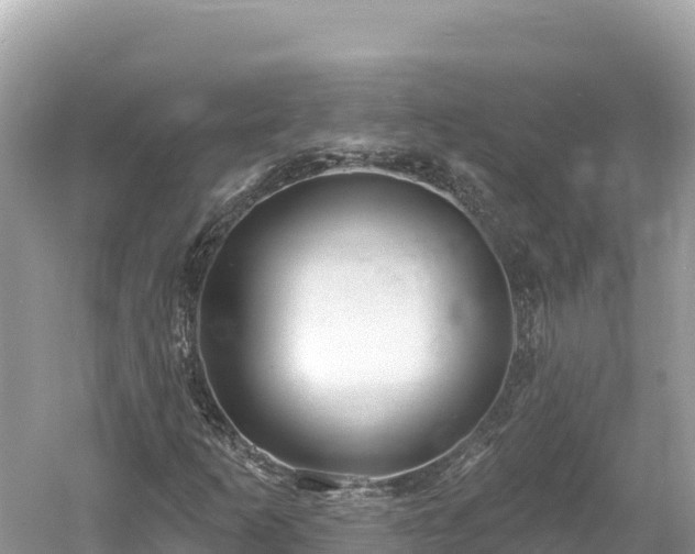 X0000061731253200512050924