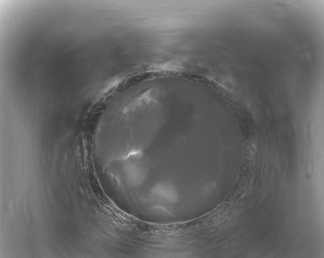 X0000061731254200512050924