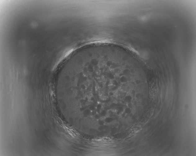 X0000061731255200512050924