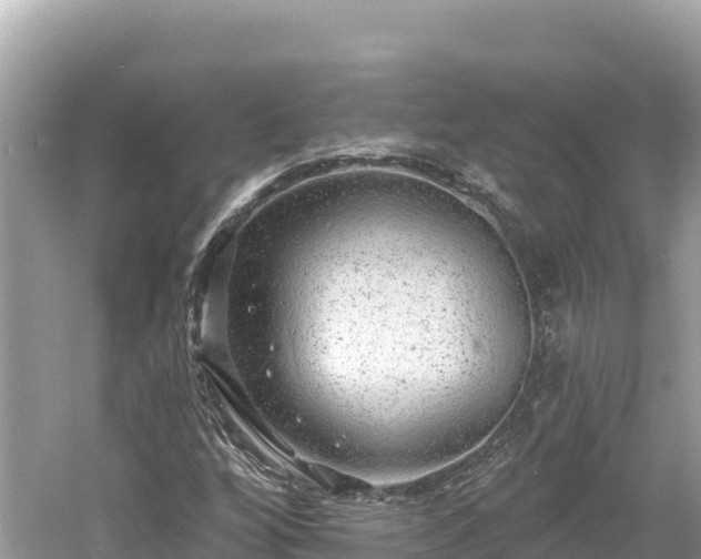 X0000061731256200512050924