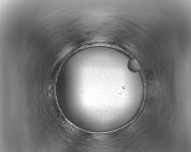 X0000061731258200512050924