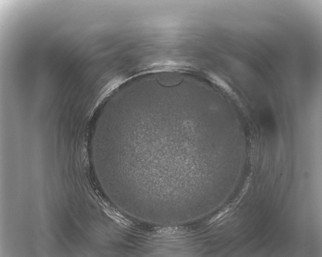 X0000061731259200512050924