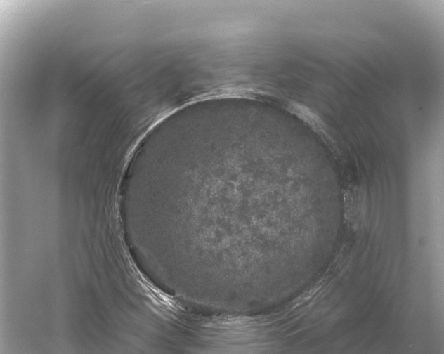 X0000061731260200512050924