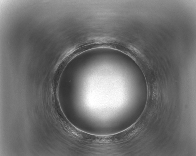 X0000061731261200512050924