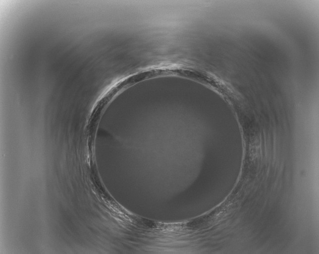 X0000061731262200512050924