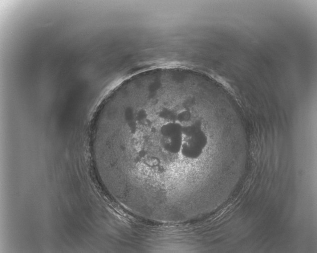 X0000061731263200512050924