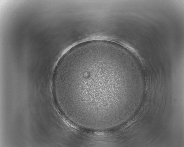 X0000061731264200512050924