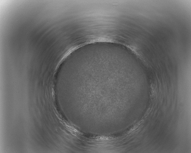 X0000061731266200512050924