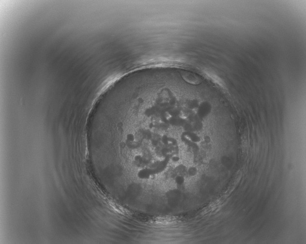 X0000061731267200512050924