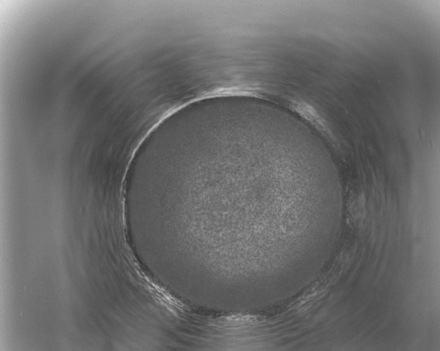 X0000061731268200512050924