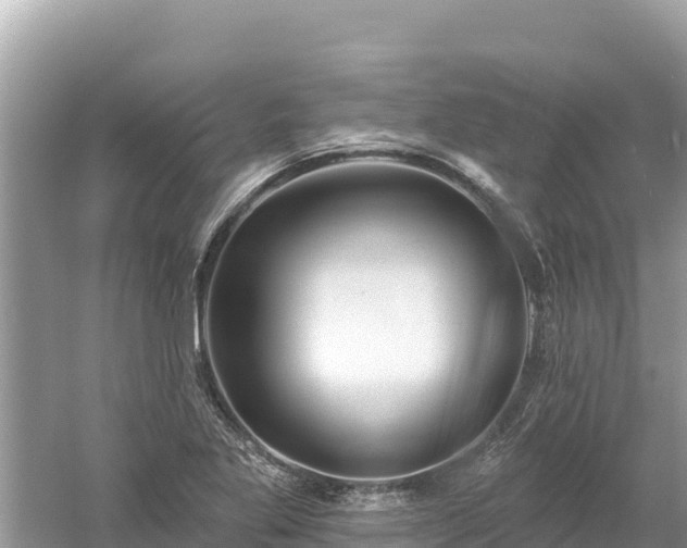 X0000061731269200512050924