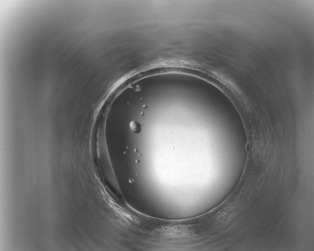 X0000061731272200512050924