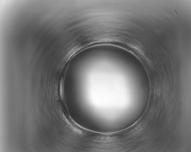 X0000061731273200512050924