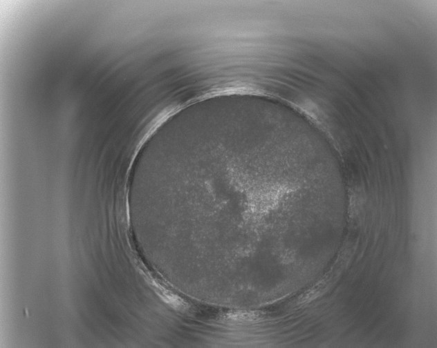 X0000061731274200512050924