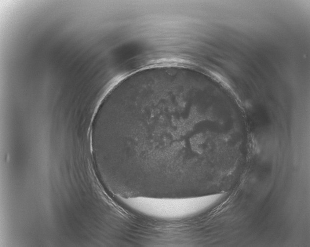 X0000061731275200512050924