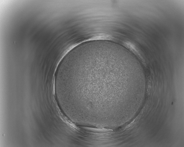 X0000061731276200512050924