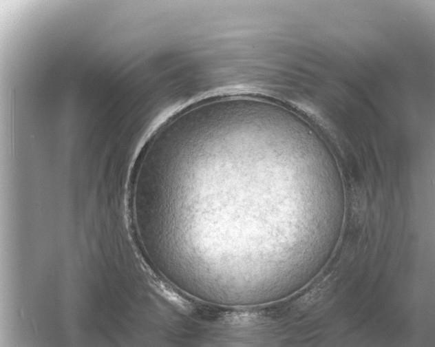 X0000061731278200512050924