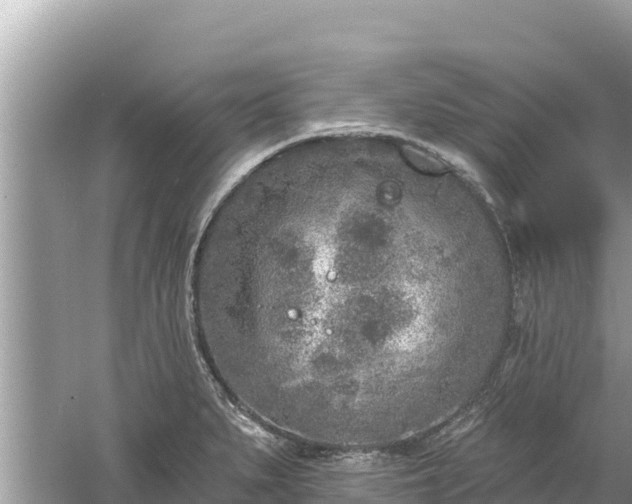 X0000061731279200512050924