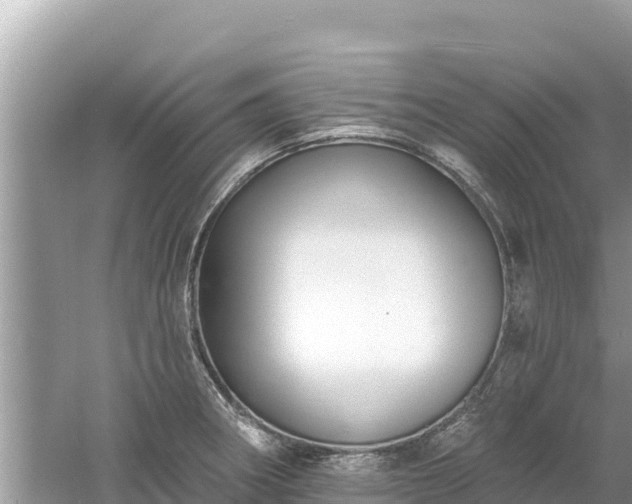 X0000061731282200512050924