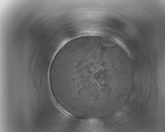 X0000061731283200512050924