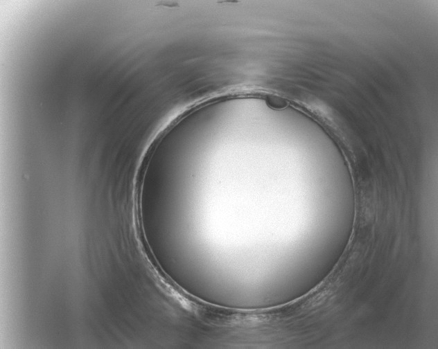 X0000061731286200512050923