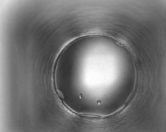 X0000061731288200512050923