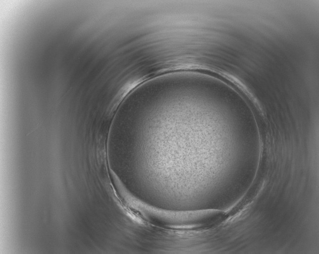 X0000061731289200512050923