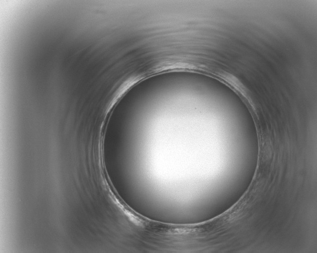 X0000061731290200512050923