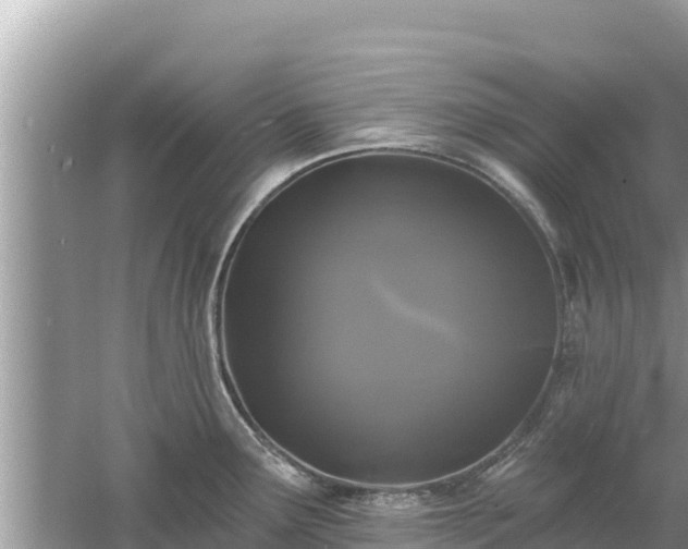 X0000061731291200512050923