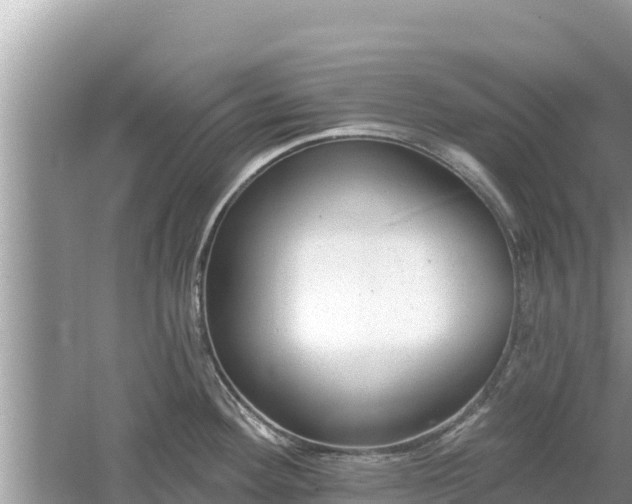 X0000061731292200512050923