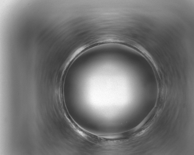 X0000061731293200512050923