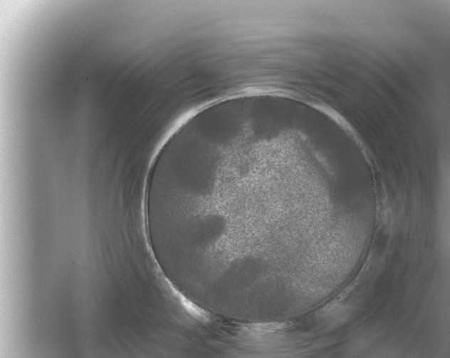 X0000061731294200512050923