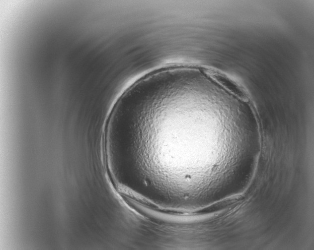 X0000061731295200512050923