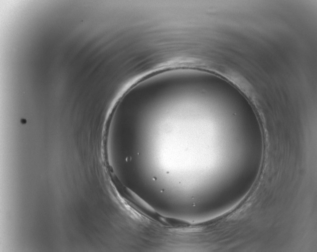 X0000061731296200512050923