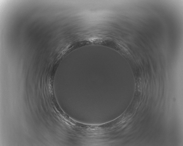 X0000061731298200512050922