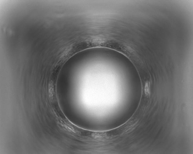 X0000061731299200512050922