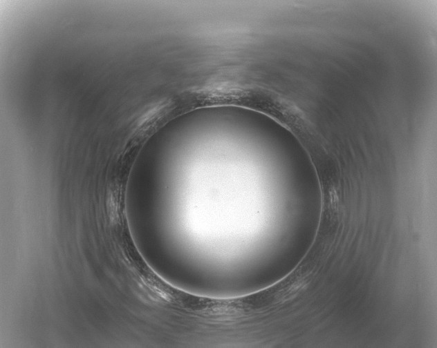 X0000061731300200512050922