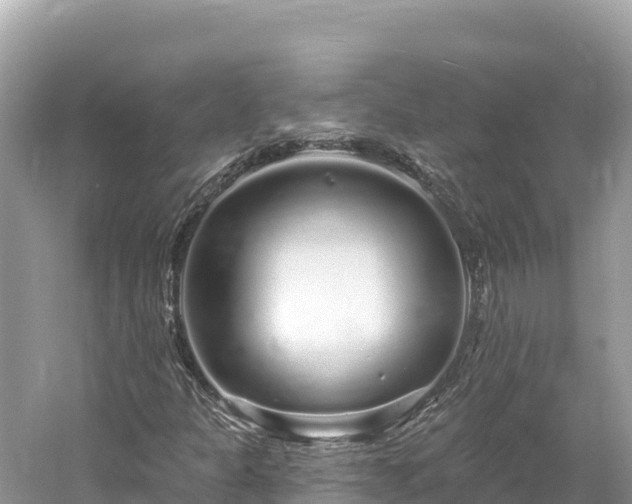 X0000061731301200512050922