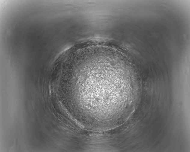 X0000061731302200512050922