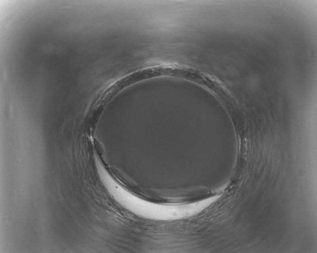 X0000061731303200512050923