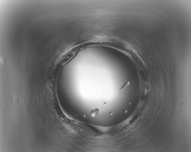 X0000061731304200512050923