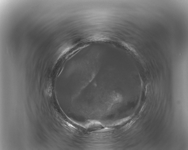 X0000061731306200512050923