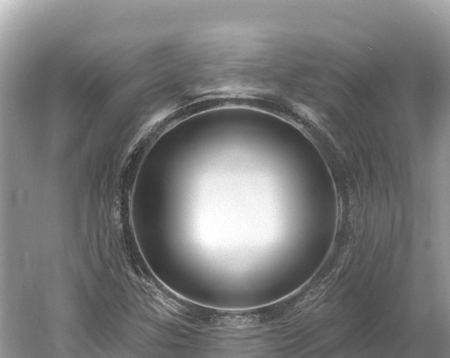 X0000061731307200512050923