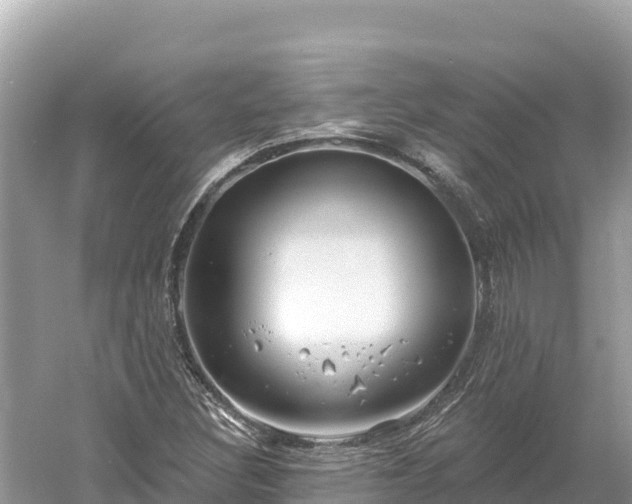 X0000061731308200512050923