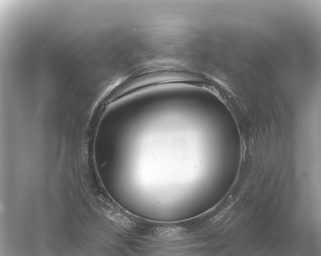 X0000061731309200512050923