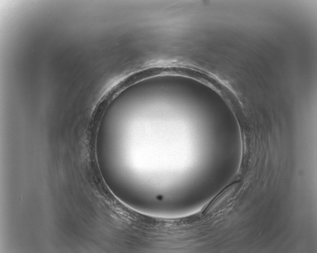 X0000061731311200512050923