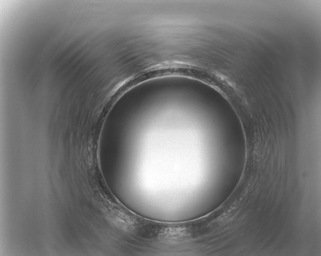 X0000061731313200512050923