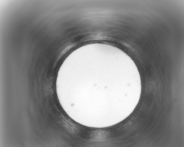 X0000061731314200512050923