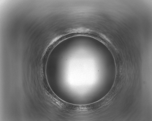 X0000061731315200512050923